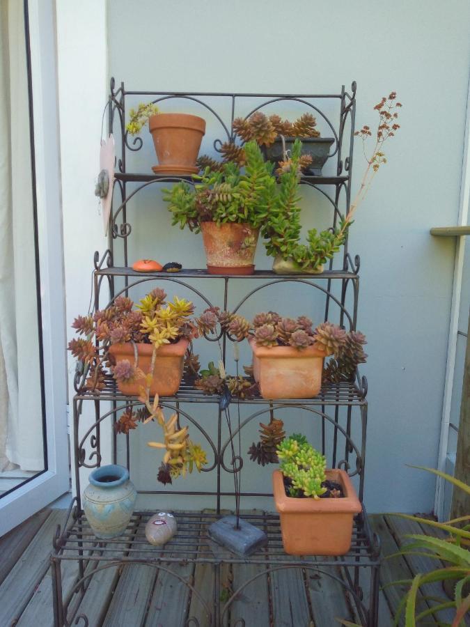 Crescent Cottage Knysna Dış mekan fotoğraf